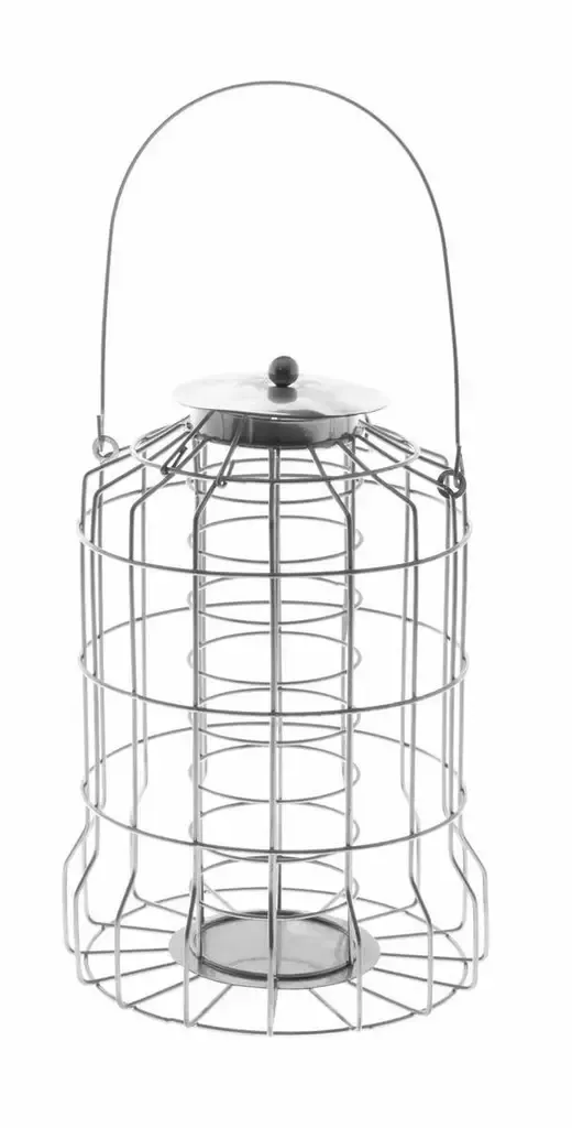 Tintti Syötin Talipalloille